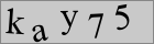 Sicherheitscode